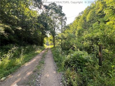 0 Starchers Fork Road, Spencer, Batı Virginia 25276, Amerika Birleşik Devletleri