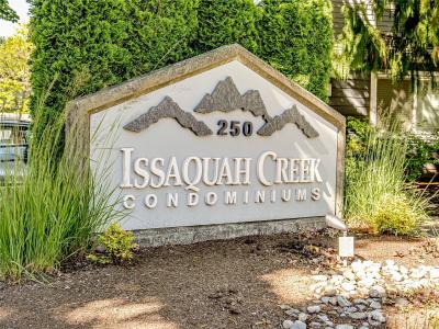 250 NW Dogwood Street , C 302, Issaquah, Washington 98027, USA