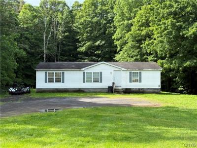 45 Black Creek Road, Volney, New York 13126, HOA KỲ