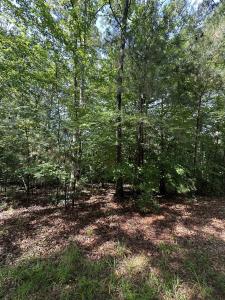 Old Buncombe Road, Union, South Carolina 29379, USA