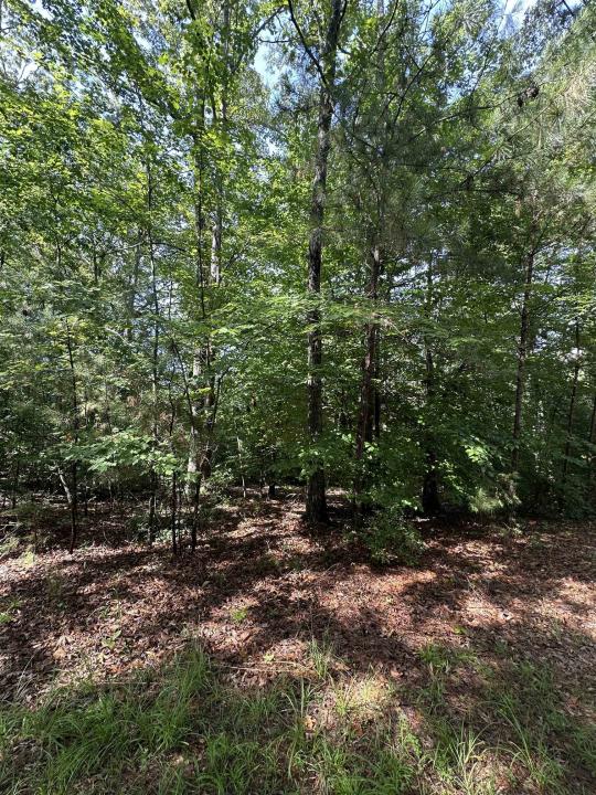 Old Buncombe Road, Union, South Carolina 29379, USA