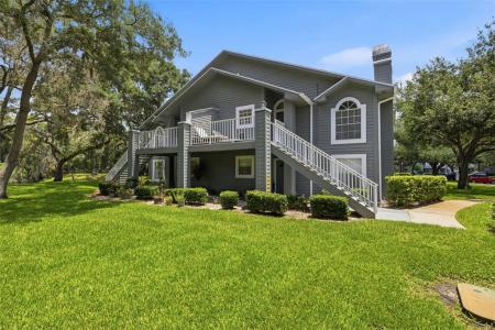 11844 Skylake Pl, Tampa, Florida 33617, USA