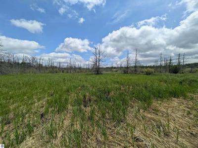 M-48, Pickford, Michigan 49774, USA
