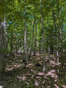 M-48, Pickford, Michigan 49774, USA
