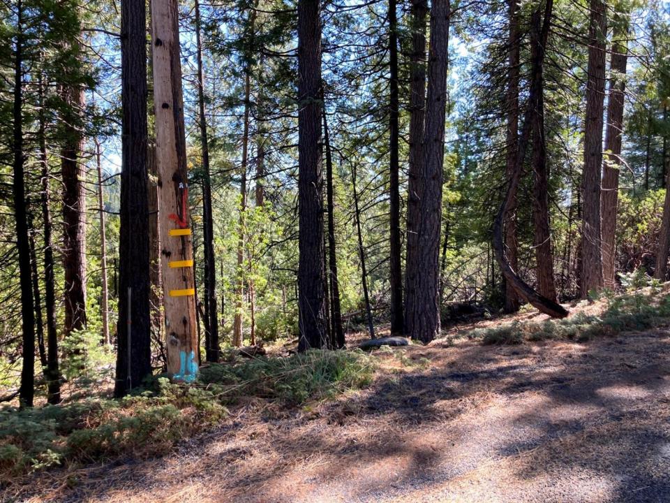 26584 Spring Road, Pioneer, California 95666, Stati Uniti