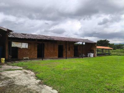 Montalbán, Carabobo 00001, Venezüella