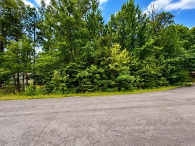 Lot 63 Slate Creek Way, Lonsdale, Arkansas 72087, États-Unis