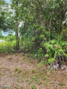 1114 Mckinley Avenue, Lehigh Acres, Florida 33972, USA