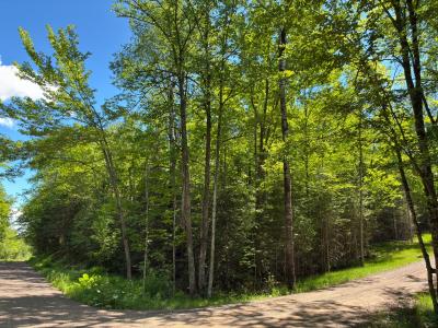 Lot 4 Off Boxberger Dr, Presque Isle, Wisconsin 54557, USA