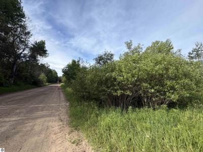 9540 S Mckinley Avenue, Lac, Michigan 48632, États-Unis