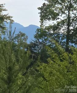 66 Misery Ridge Trail, Mill Spring, North Carolina 28756, USA