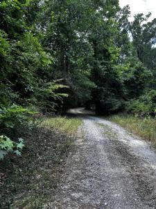 0 Varner Ridge Lane, Ridgeville, South Carolina 29472