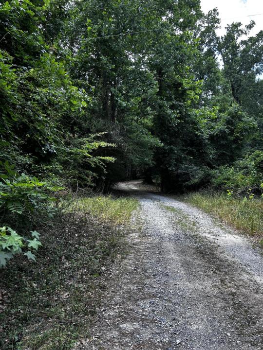 0 Varner Ridge Lane, Ridgeville, South Carolina 29472