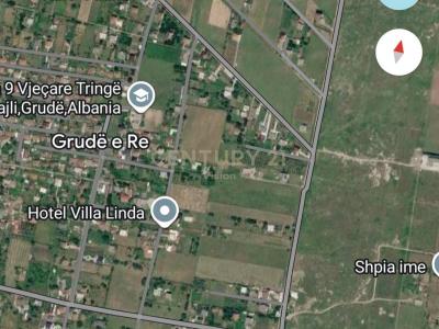 Grude |##| Periferia Shkodër, Shkodër, Albania