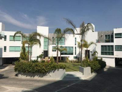 11317 Jose Manuel Hidalgo y Esnaurrizar 140 int 8,, Naucalpan, État De Mexico 53126, Mexique