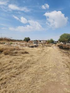 Parcela 1132,, San Juan Del Río, Querétaro 76800, Mexique