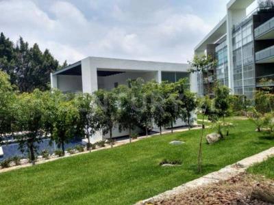 2da cerrada de Abraham Zepeda ,, Cuernavaca, Morelos 62140, Meksyk