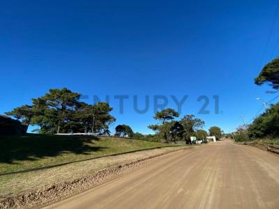 Av 3 y 168 LEMU, Villa Gesell, Buenos Aires Costa Atlántica 7165, 아르헨티나