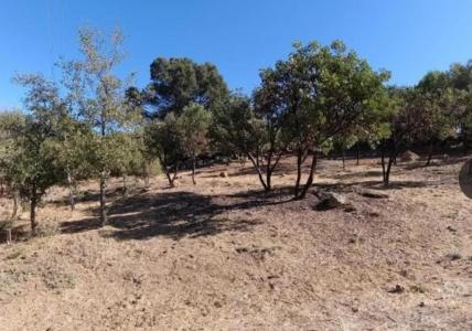 Kelseyville, California 95451, USA