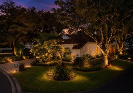 5204 Green Forest Ct, Tampa, Florida 33647, USA