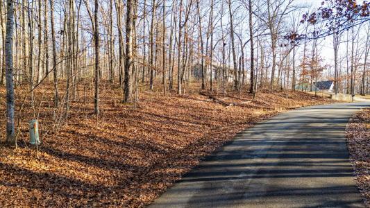 0 Shadow Rock Drive, Monteagle, Tennessee 37356, États-Unis