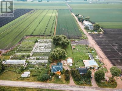 393 CANAL ROAD, Bradford West Gwillimbury, Ontario L3Z 2A6, Kanada