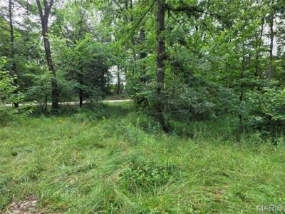 951 County Road 514, Wappapello, Missouri 63966, Stati Uniti