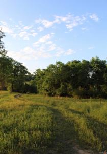 299 Harmony Lane, Amity, Arkansas 71921, USA