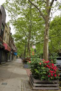 41-30 46th St 3-D, Sunnyside, New York 11104, USA
