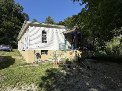 3138 Caney Fork Rd., Martin, Kentucky 41649, Amerika Birleşik Devletleri