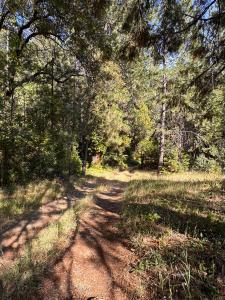 16492 Indiana Ranch Road, Dobbins, California 95935, USA