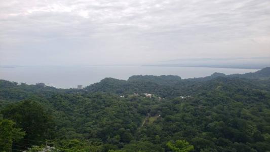 , Caletas Tárcoles Garabito, Puntarenas 00001, Costa Rica