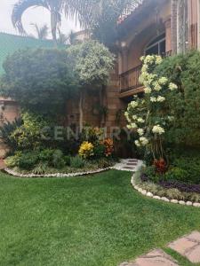 Plutón SN,, Cuernavaca, Morelos 62360, Meksyk