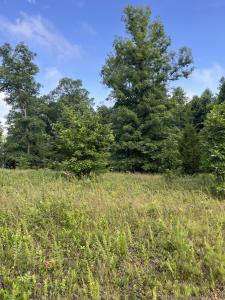 0 Henley Drive, Altamont, Tennessee 37301, USA