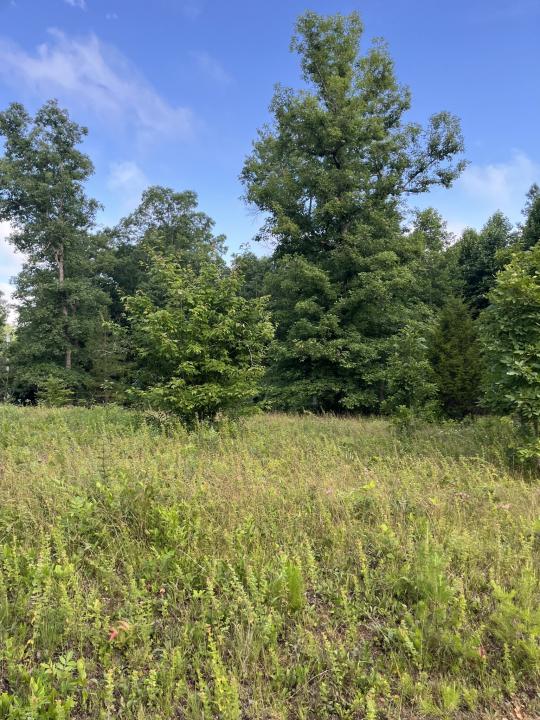 0 Henley Drive, Altamont, Tennessee 37301, Stati Uniti