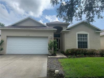 19132 Wood Sage Drive, Tampa, Florida 33647, USA