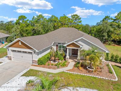 8 Dahlia Court S, Homosassa, Florida 34446, Stati Uniti