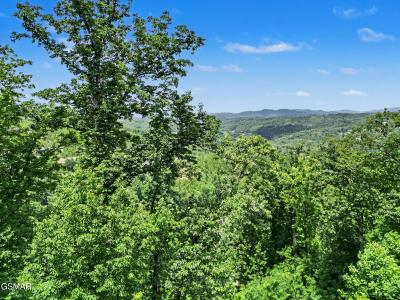 Lot 571 Village Loop Road, Gatlinburg, Tennessee 37738, USA
