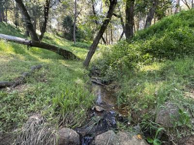15340 Brewer Road, Grass Valley, California 95949, Stati Uniti