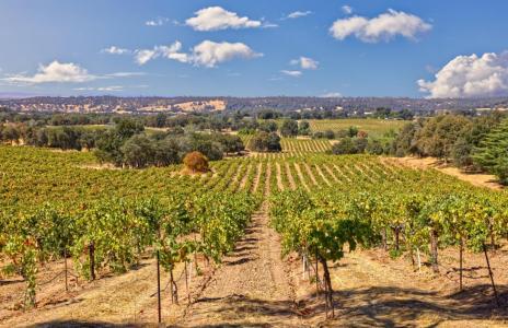 Shenandoah School Road, Plymouth, Californie 95669, États-Unis