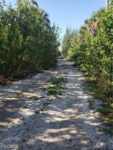 Pirate Landing Lane, Other, Florida 33956, USA