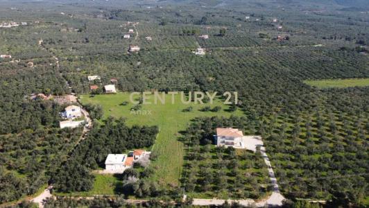Gargalianoi, Messinia, Greece