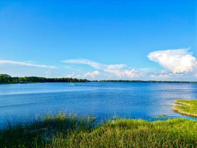 20517 NE 114th Avenue, Waldo, Florida 32694, USA