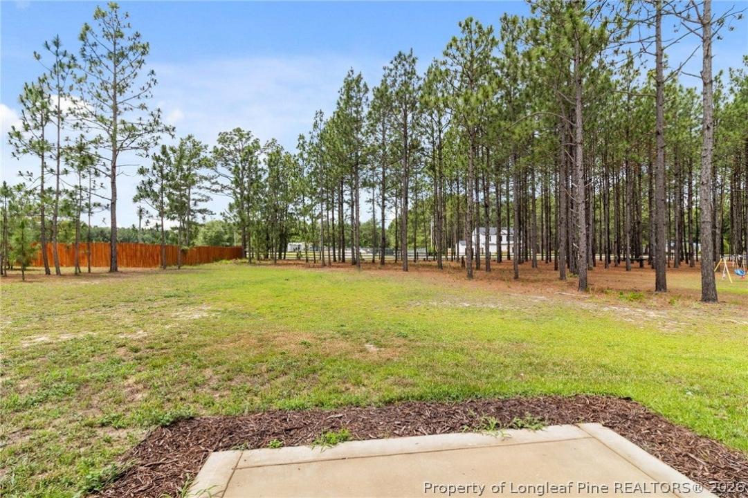 161 Desert Orchid Circle, Raeford, North Carolina 28376, Stati Uniti