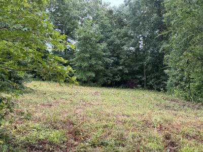 0 Johnson Hollow Rd, Stewart, Tennessee 37175, États-Unis