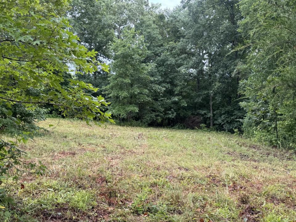 0 Johnson Hollow Rd, Stewart, Tennessee 37175, Stati Uniti