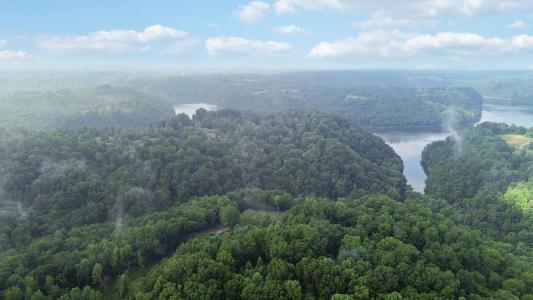 911 Bradley Road, Albany, KY 42602, Albany, Kentucky 42602, États-Unis