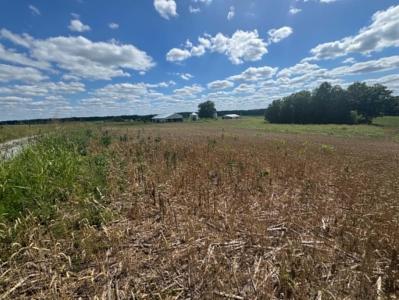Lot 4 Willis Road, Columbia, Kentucky 42728, USA