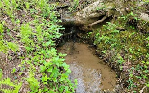 LOT27 Oak Ridge, Ellijay, Géorgie 30536, États-Unis