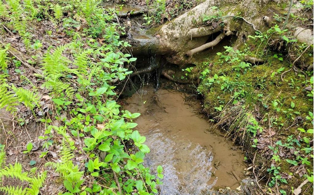 LOT27 Oak Ridge, Ellijay, Géorgie 30536, États-Unis